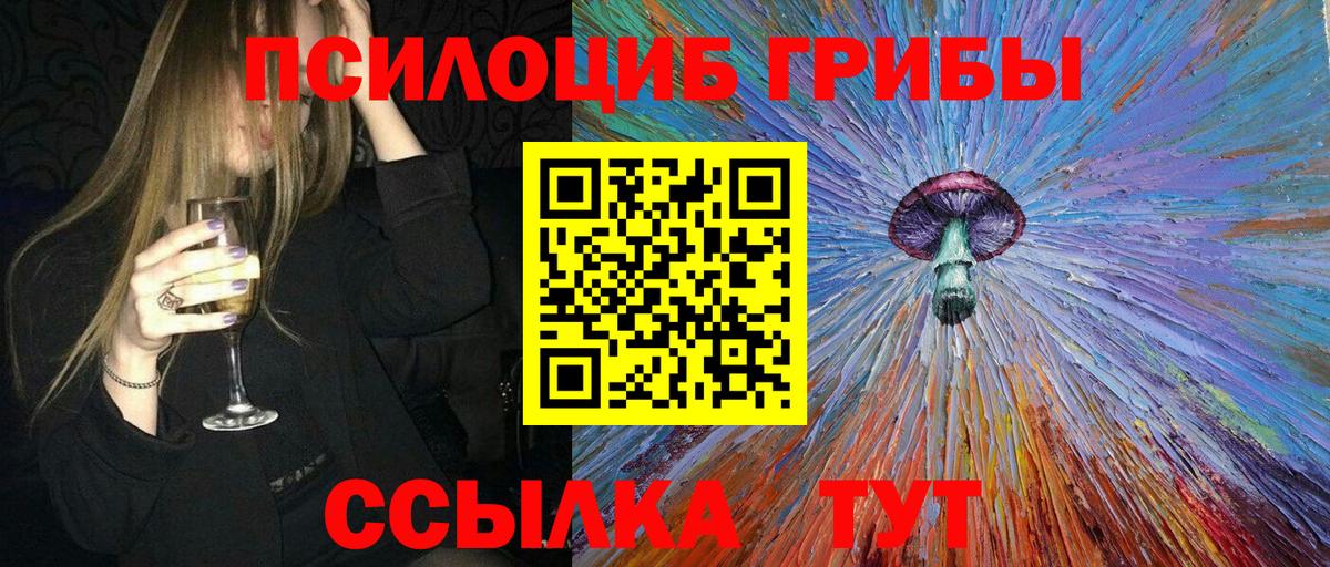 Подольск  Галлюциногенные грибы Psilocybe  Вход с VPN 