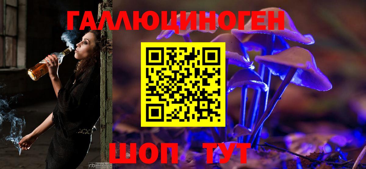 Псилоцибиновые грибы Psilocybine cubensis Подольск